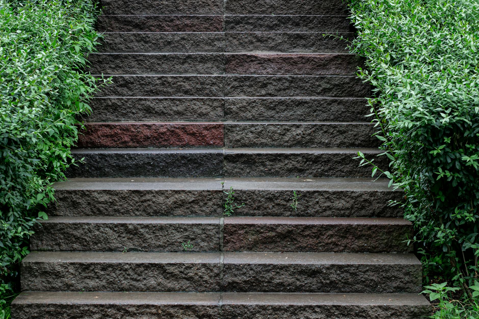 Cataract Surgery Step by Step: A Patient’s Guide